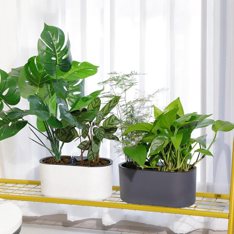 Planta de interior con indicad - Automatic Plant Waterer reseña y precio